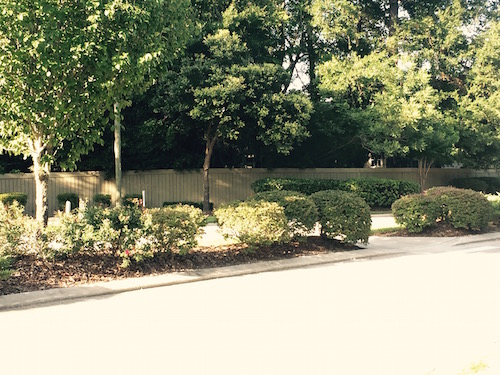 Eloise Gardens