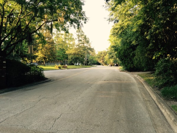 Forest Ridge