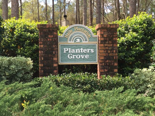 HP Planters Grove 